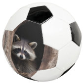 Racoon in der Baumhöhle Fußball (Dreiviertel)