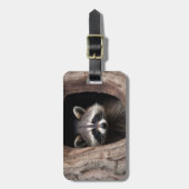 Racoon in der Baumhöhle Gepäckanhänger (Vorderseite vertikal)