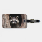 Racoon in der Baumhöhle Gepäckanhänger (Rückseite horizontal)