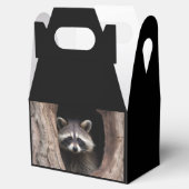 Racoon in der Baumhöhle Geschenkschachtel (Geöffnet)