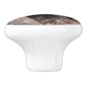 Racoon in der Baumhöhle Keramikknauf (Seitenansicht)