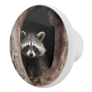 Racoon in der Baumhöhle Keramikknauf