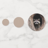 Racoon in der Baumhöhle Konfetti (Vorderseiten)