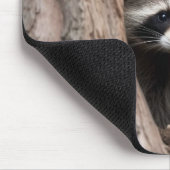 Racoon in der Baumhöhle Mousepad (Ecke)