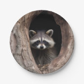 Racoon in der Baumhöhle Pappteller (Vorderseite)