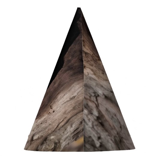 Racoon in der Baumhöhle Partyhütchen (Rückseite)