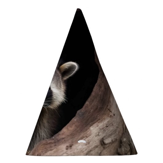 Racoon in der Baumhöhle Partyhütchen (Rechts)