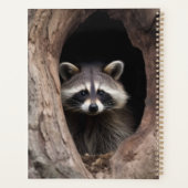 Racoon in der Baumhöhle Planer (Rückseite)