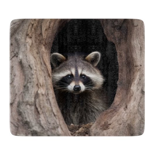 Racoon in Tree Cave Glass Schneidebrett (Vorderseite)