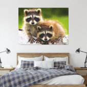 Racoon Leinwanddruck (Insitu (Schlafzimmer))