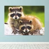Racoon Leinwanddruck (Insitu (Holzboden))