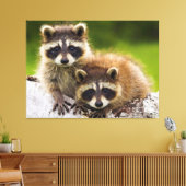 Racoon Leinwanddruck (Insitu (Wohnzimmer))