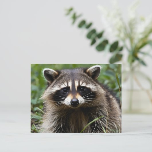 Racoon Looking Postkarte (Stehend Vorderseite)
