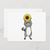 Racoon mit Sonnenblume Postkarte (Vorne/Hinten)