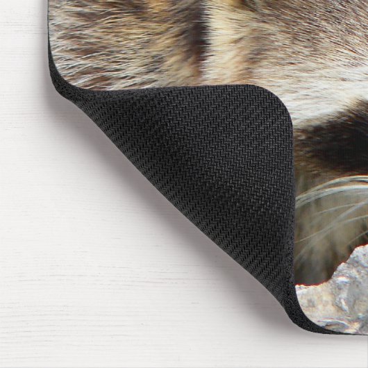Racoon Mousepad (Ecke)