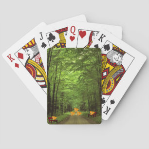 Racoon Playing Card Deck Spielkarten