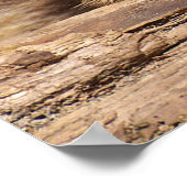 Racoon Poster (Ecke)