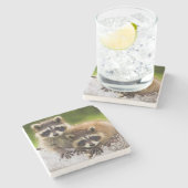 Racoon Steinuntersetzer (Seitenansicht)