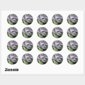 Racoon Stickers (Blatt)