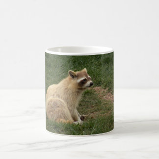 Racoon-Tasse Kaffeetasse
