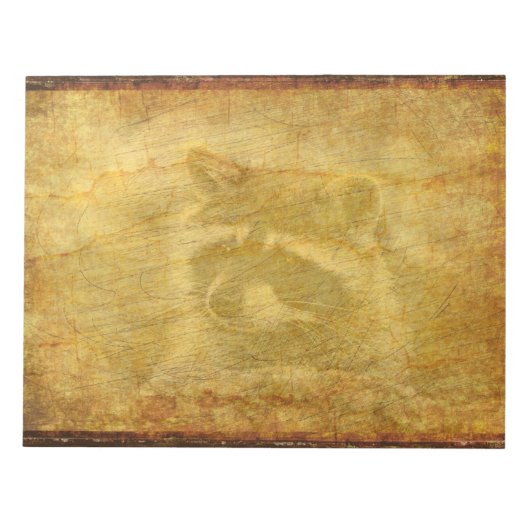 Racoon verblasst Vintag Notizblock (Vorderseite)