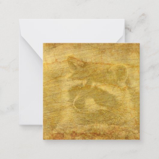 Racoon Vintag Paper Mitteilungskarte (Vorderseite)