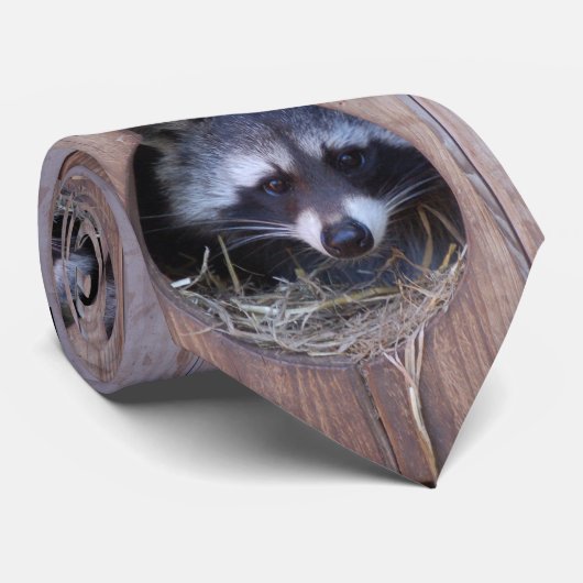 RACOON WASCHBÄR / Foto: Jean-Louis Glineur Krawatte (Gerollt)