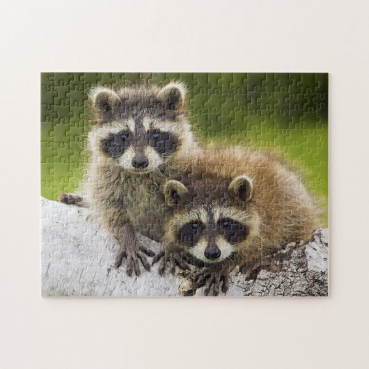 Racoons Puzzle (Horizontal)