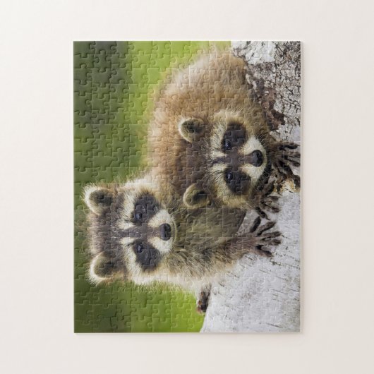 Racoons Puzzle (Vertikal)
