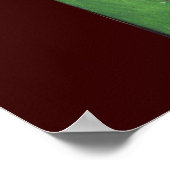 RACOONS SPIELEN POKER POSTER (Ecke)