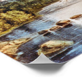 Racquet River - Adirondacks Poster Print (Ecke)