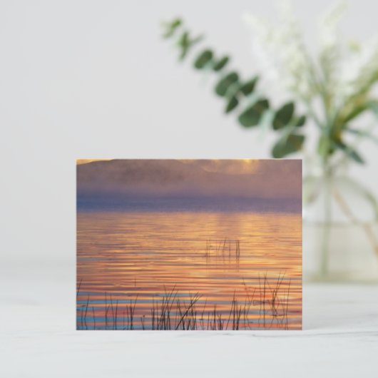 Racquette Lake | Adirondack Mountains, New York Postkarte (Stehend Vorderseite)