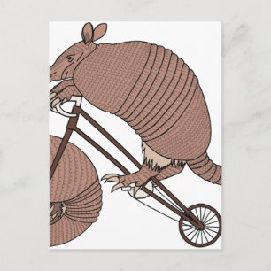 Rad Armadillo mit Armadillo-Rad Postkarte