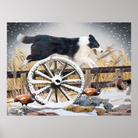 Rad Border Collie Jumping Poster (Vorne)