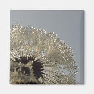 Rad der Tröpfchen Magnet