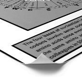 Rad des genetischen Codes Poster (Ecke)