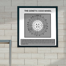 Rad des genetischen Codes