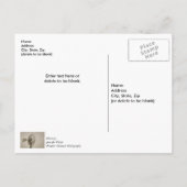 Rad einer Windmühle Sepia Danke Postcard Postkarte (Rückseite)