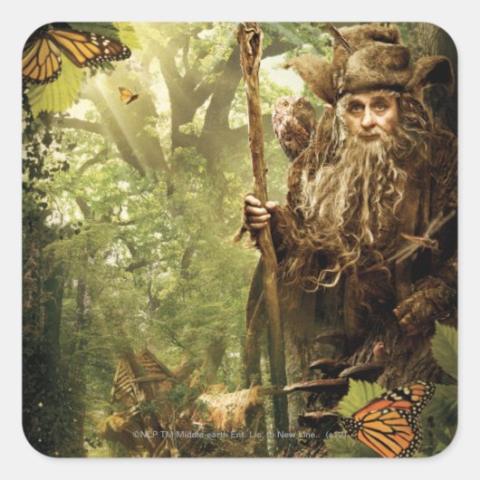 RADAGAST™ in Forest Quadratischer Aufkleber (Vorderseite)