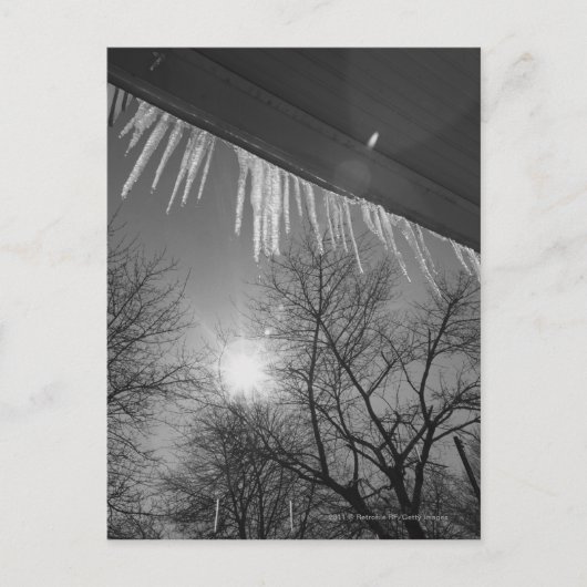 Räder auf Dach und Sonne Postkarte (Vorderseite)