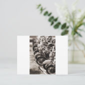 Räder Postkarte (Stehend Vorderseite)