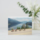 Radfahren entlang Hwy 6 - Slocan Lk - British Colu Postkarte (Stehend Vorderseite)