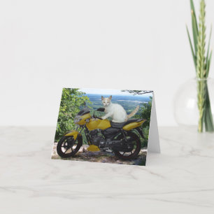 Radfahrer-Katze Notecard Feiertagskarte