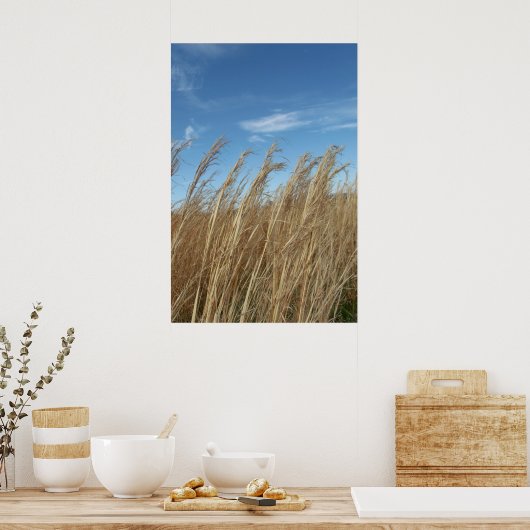 Radgras Poster (Küche)