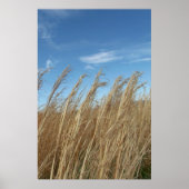 Radgras Poster (Vorne)