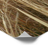 Radgras Poster (Ecke)