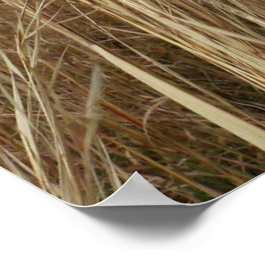 Radgras Poster (Ecke)