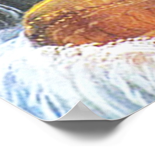 Radha-krishna Poster (Ecke)