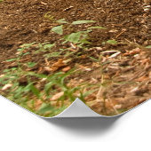 Radhalterung neben Bodenhöhe Poster (Ecke)