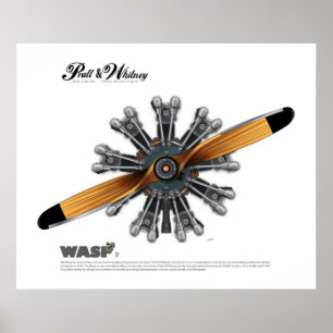 Radialflugzeug-Motor mit Stütze-Kunst-Plakat Poster